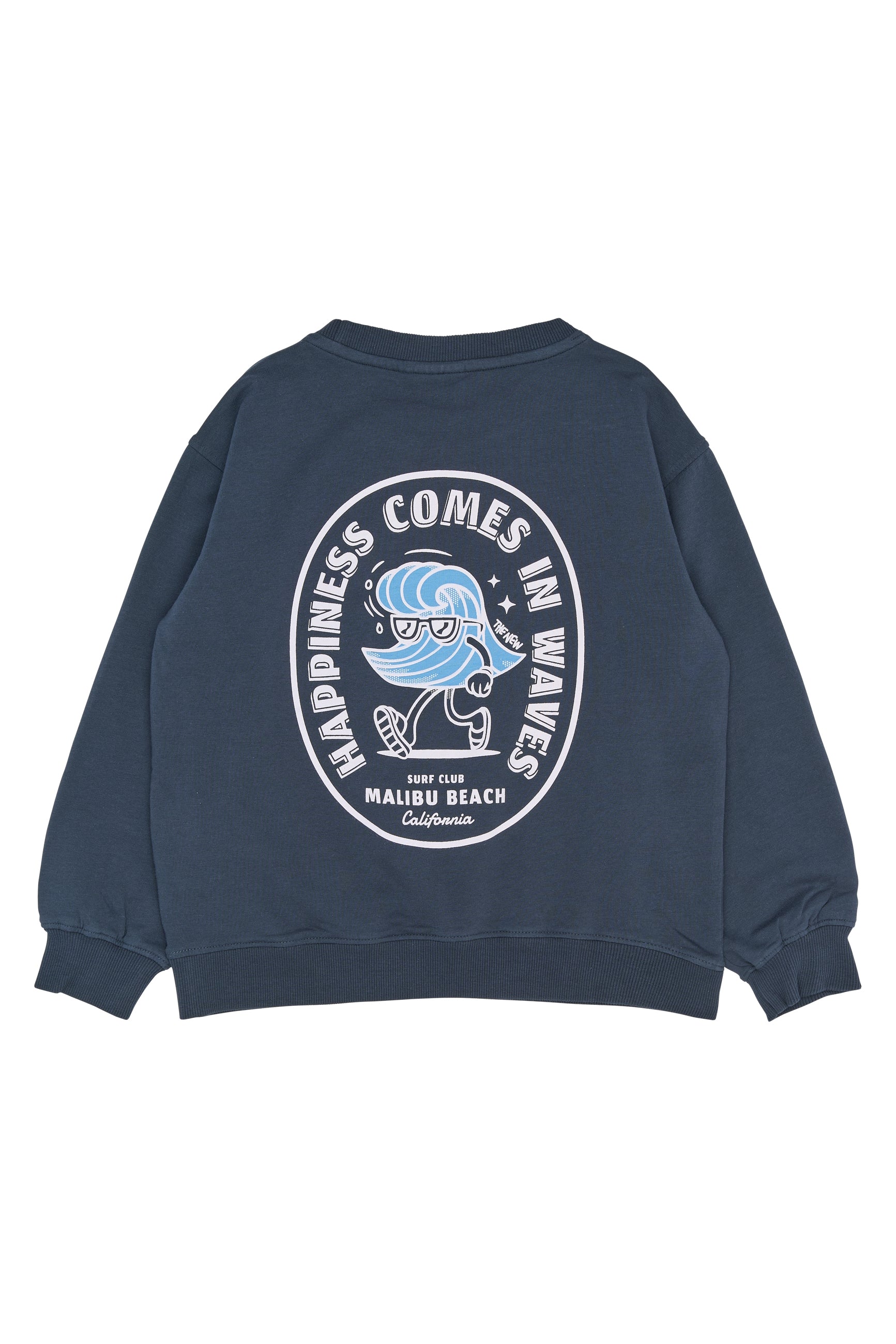 THE NEW | Sweatshirt - Happiness Comes in Waves