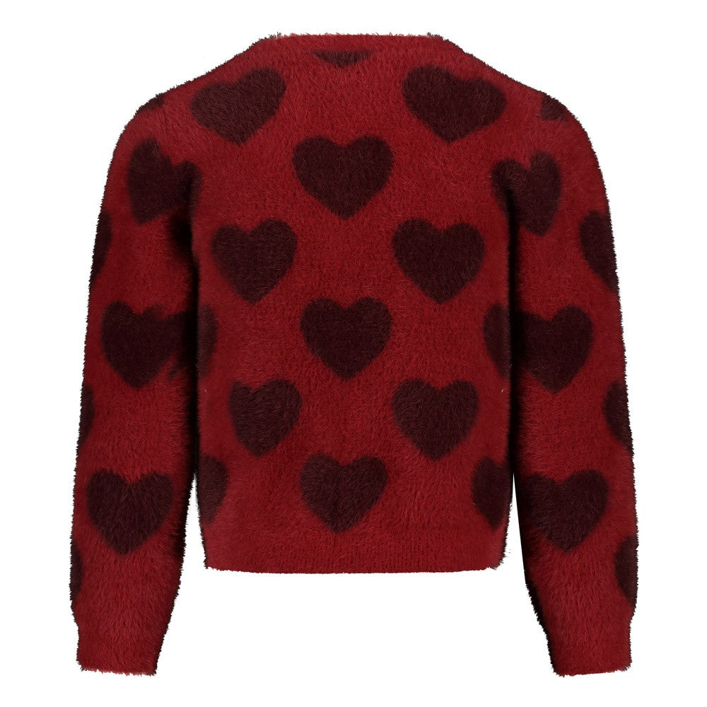 Jubel | Jacke - Daily Princess